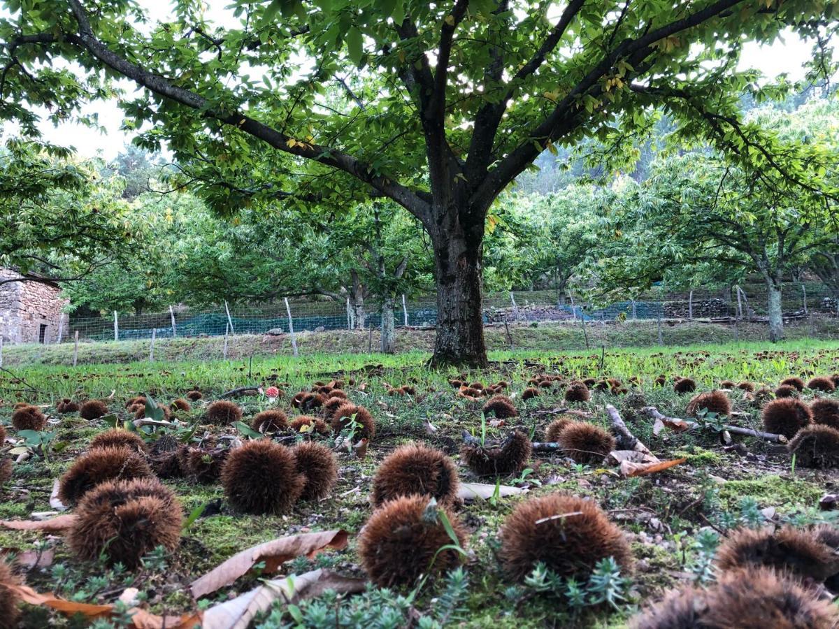 Gite Paysage 拉博姆 外观 照片